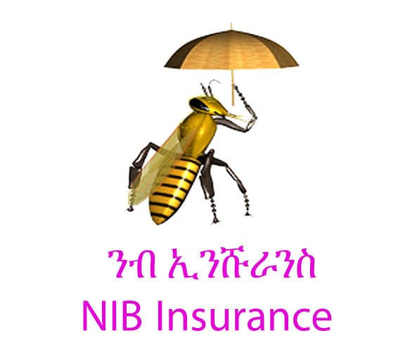 Ethiopian Capital Market Authority Approves Nib Insurance Share Registration