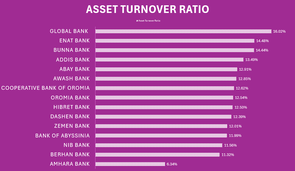 Ethiopian Banks Efficiency Data